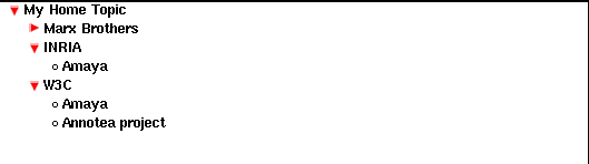 Topic Properties Widget